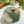 Bestecktasche OVAT