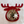 Tischset Filz MOOSE