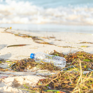 Plastikflasche am Strand als Symbol für recyceltes PET und nachhaltigen Upcycling Filz