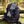 sitzunterlage outdoor verstaut in einem rucksack im wald